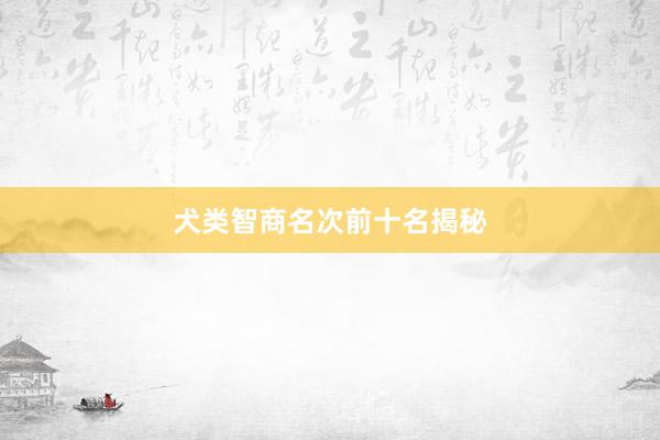 犬类智商名次前十名揭秘